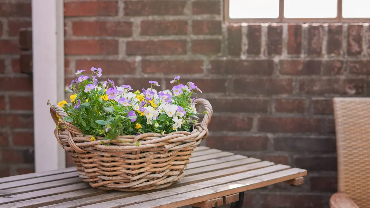 紫と黄色の花を活けたかごが木のベンチに置かれている。仕分けと選定のイメージ。