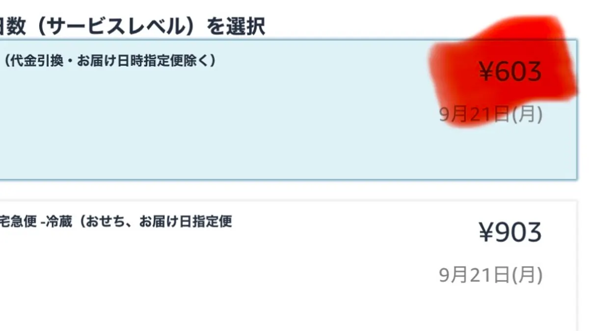 パートナーキャリアでヤマト宅急便・送料¥603を選ぶ画面。