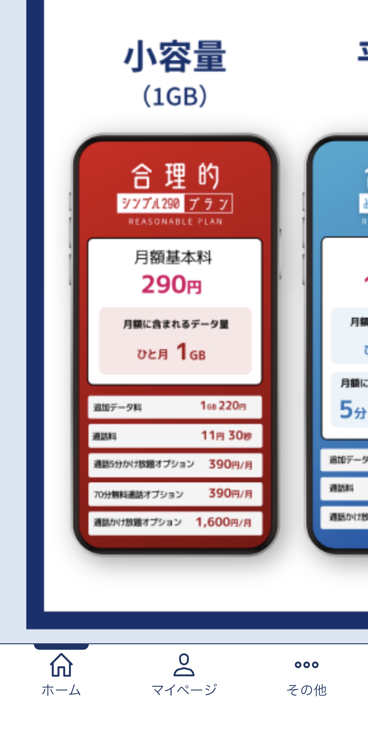 月額基本料290円、1GB、追加データ1GB220円が表示された画面