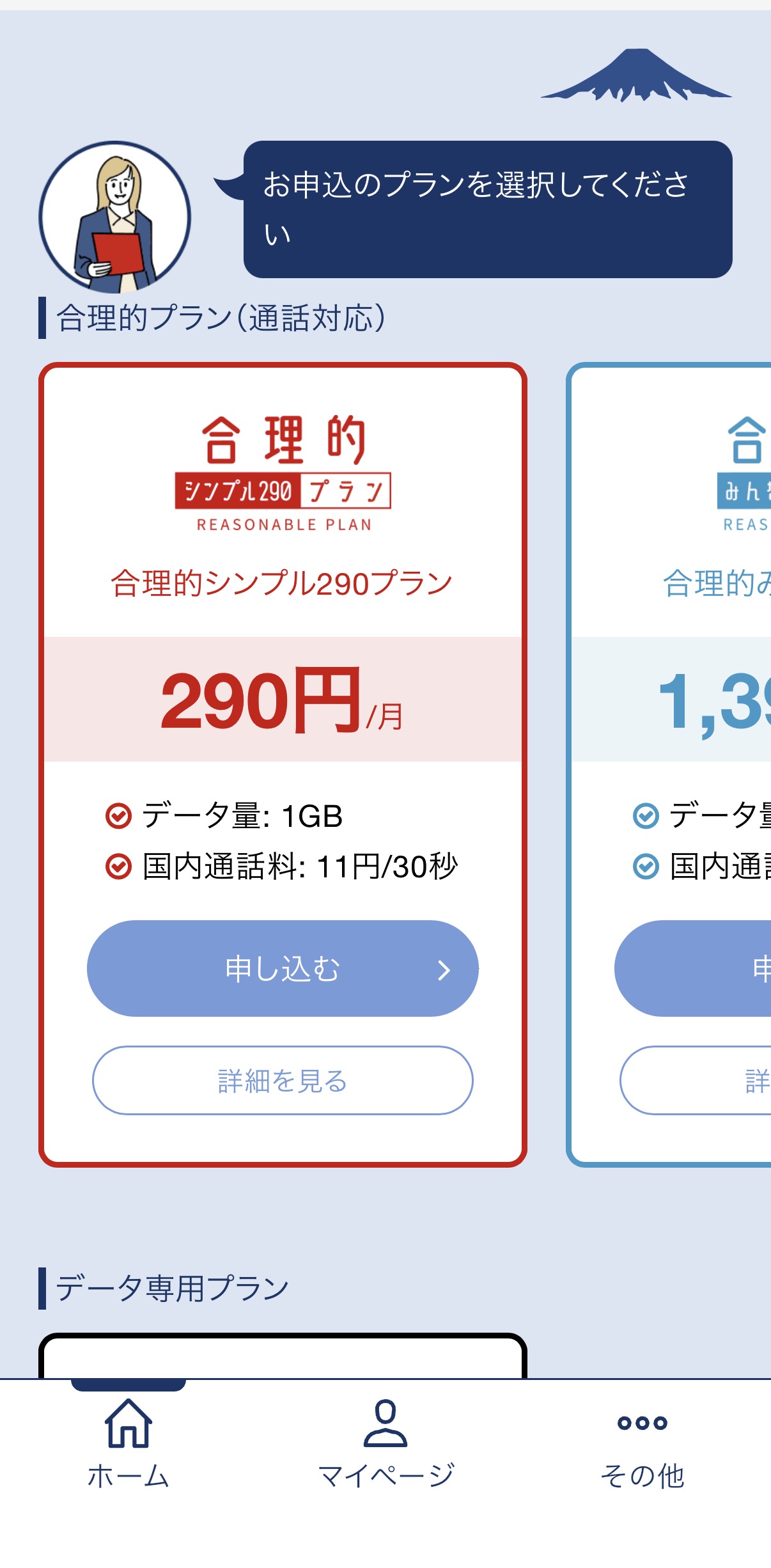 合理的シンプル290プランのデータ量と国内通話料が表示された申込選択画面